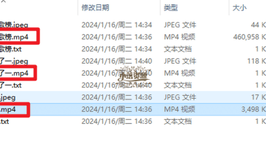 侠客短视频解析-一款非常强大的短视频无水印下载工具 - 小落资源网