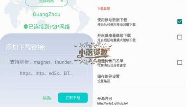 P2P下载器v1.3.0磁力下载不限速解锁版 - 小落资源网
