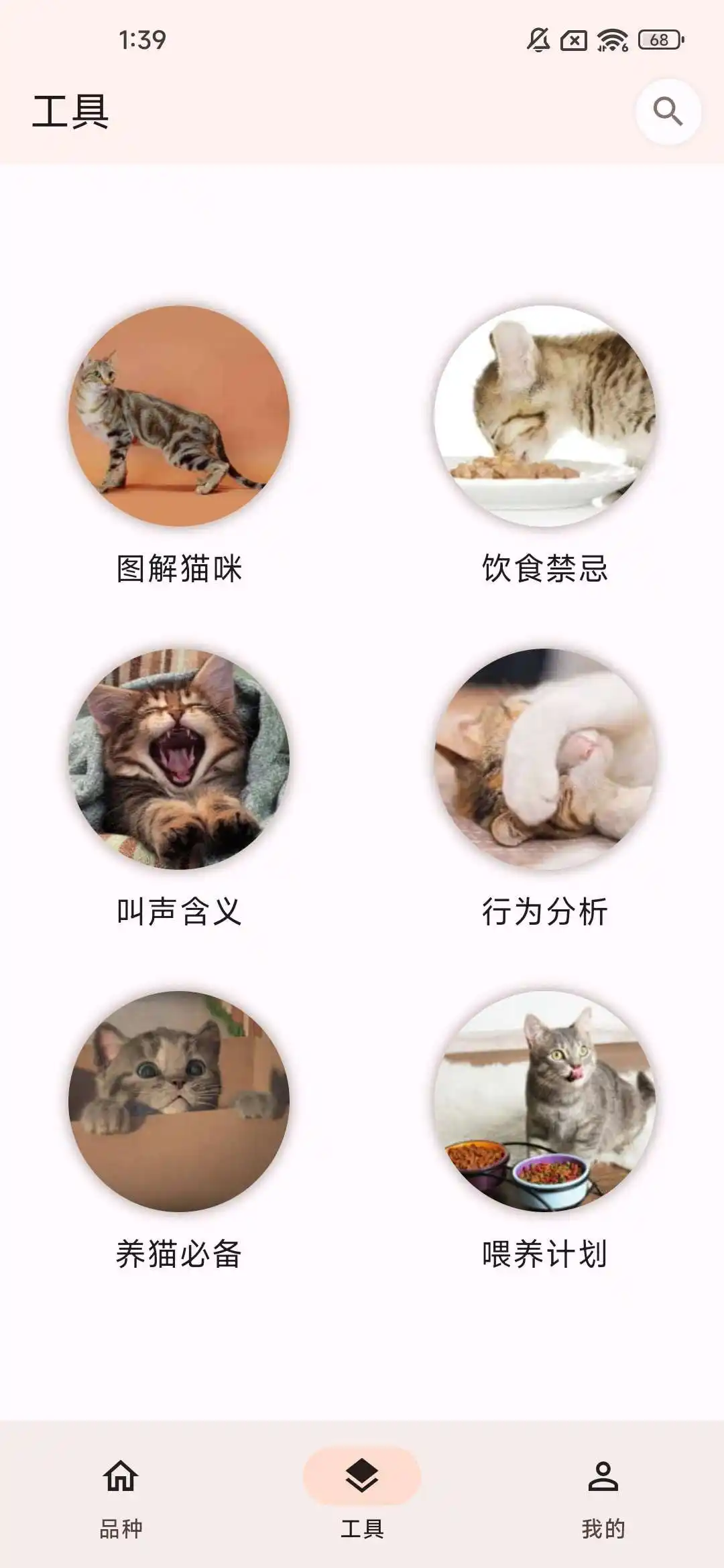 养猫必备软件🔥帮你快速了解猫咪🔥 - 小落资源网